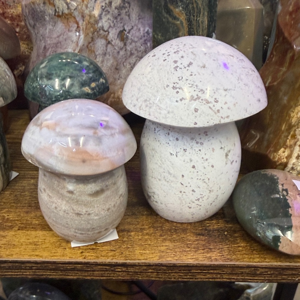 Ocean Jasper Mushrooms